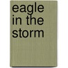 Eagle in the Storm door James Ward