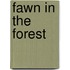 Fawn In The Forest
