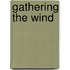 Gathering The Wind
