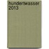 Hundertwasser 2013