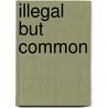 Illegal but Common door Muhammad Chozin