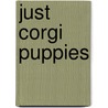 Just Corgi Puppies door Willowcreek Press