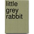 Little Grey Rabbit