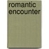 Romantic Encounter