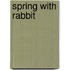 Spring with Rabbit