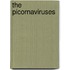 The Picornaviruses