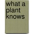 What A Plant Knows