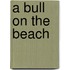 A Bull on the Beach