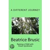 A Different Journey door Beatrice Brusic