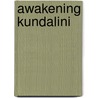 Awakening Kundalini by Lawrence Edwards