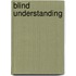 Blind Understanding