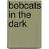Bobcats In The Dark