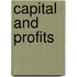 Capital and Profits
