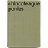 Chincoteague Ponies
