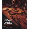 College Algebra Ed2 door Robert Blitzer