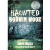 Haunted Bodmin Moor door Jason Higgs