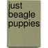 Just Beagle Puppies