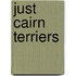 Just Cairn Terriers