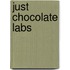 Just Chocolate Labs
