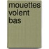 Mouettes Volent Bas