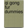 Qi Gong Fur Dummies door Cornelius Hennings