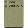 Thunder Underground by Roy Thompson