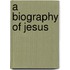 A Biography of Jesus