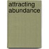 Attracting Abundance