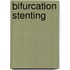 Bifurcation Stenting