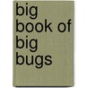 Big Book Of Big Bugs by Emily Bone