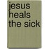 Jesus Heals the Sick