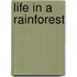 Life in a Rainforest
