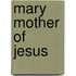 Mary Mother Of Jesus