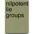 Nilpotent Lie Groups