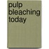 Pulp Bleaching Today
