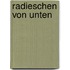 Radieschen von unten