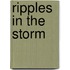 Ripples in the Storm
