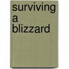 Surviving A Blizzard door Heather Adamson