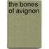 The Bones of Avignon