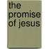 The Promise Of Jesus