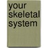 Your Skeletal System