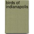 Birds Of Indianapolis