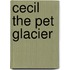 Cecil the Pet Glacier