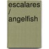 Escalares / Angelfish
