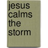 Jesus Calms The Storm door Diane Stortz
