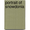 Portrait Of Snowdonia door Jerry Rawson