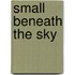 Small Beneath the Sky