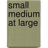 Small Medium at Large door Joanne Levy