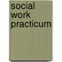 Social Work Practicum