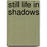 Still Life in Shadows